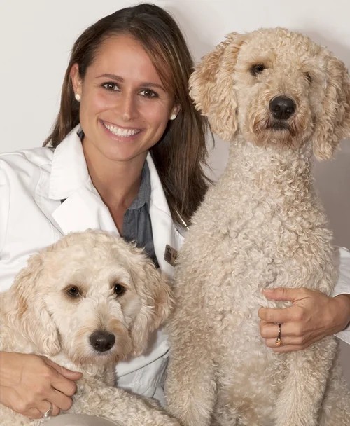 Dr. Brent Crutchfield with a dog patient